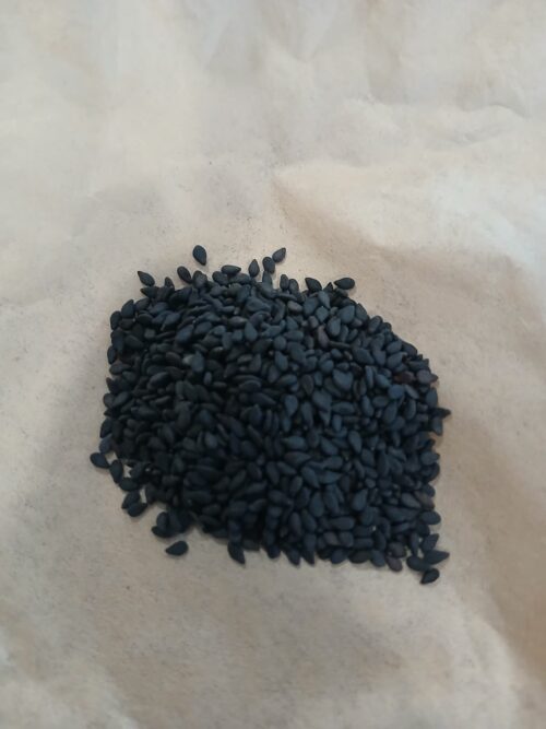 Sesame Seeds-Black (Sesamum indicum)