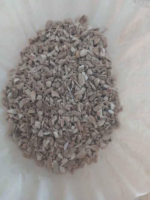 Calamus Root aka "Sweet Flag" (Acorus calamus)
