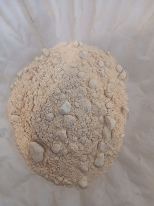 Carrot Powder (Daucus carota)