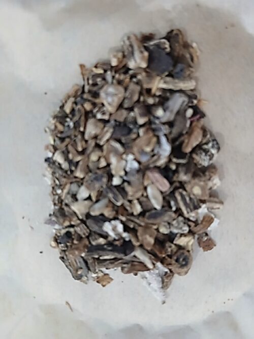 Dandelion Root (Taraxacum officinale)