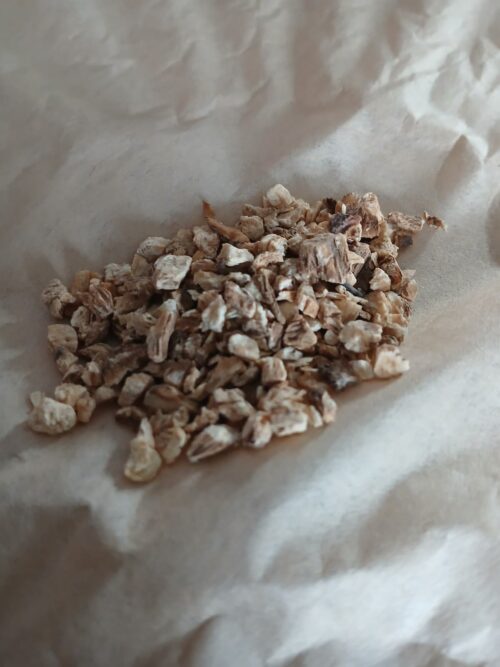 Don Quai/Female Ginseng (Angelica sinensis)
