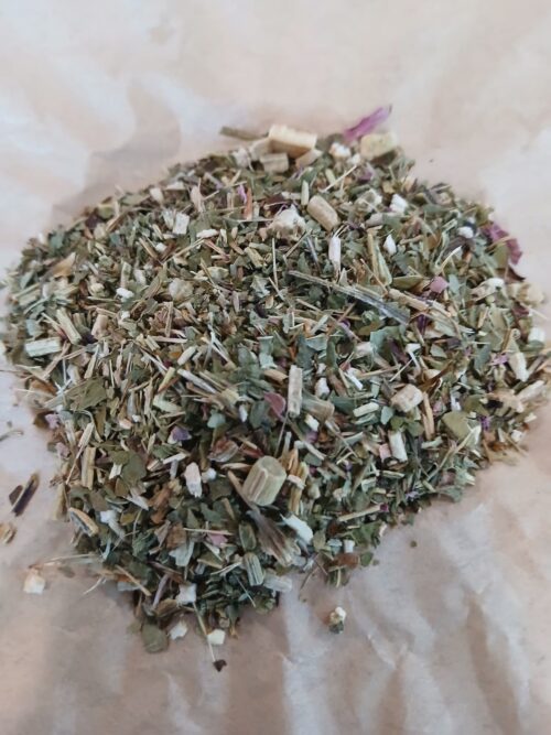 Echinacea (Echinacea purpurea)