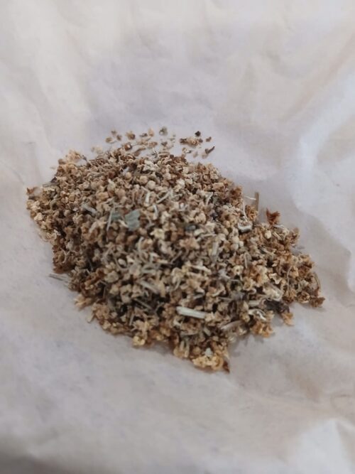Elderflower (Sambucus nigra)