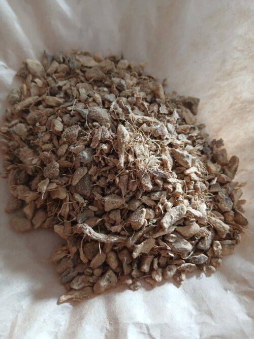 Ginger Root (Zingiber officinale)