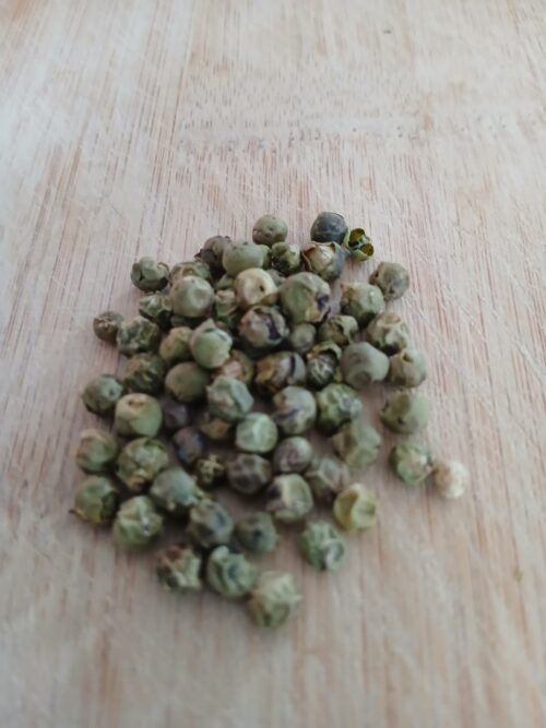 Peppercorn-Green (Piper nigrum)