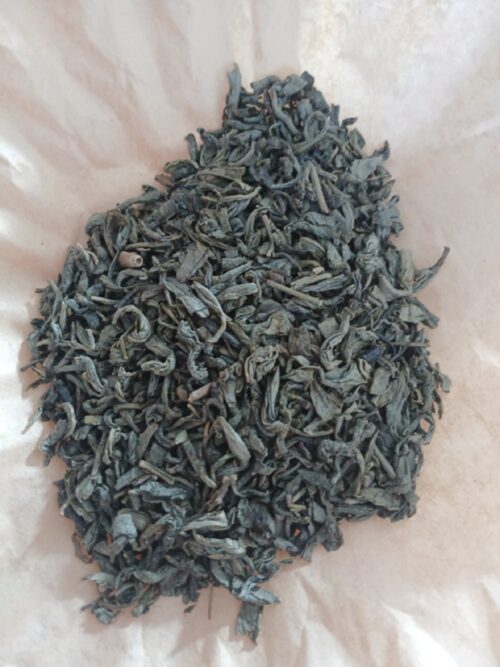 Green Tea Leaf(Camellia sinensis)
