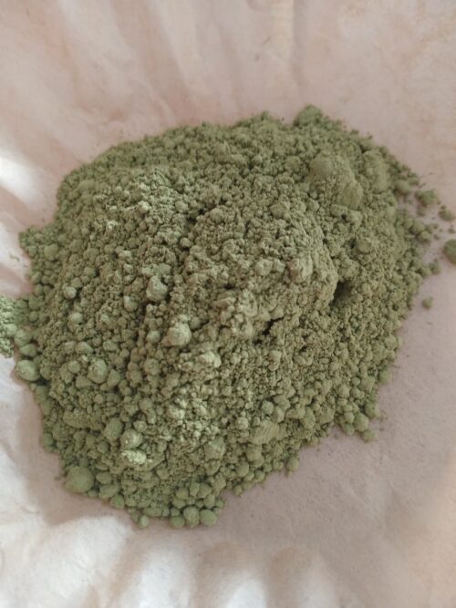 Green Tea Matcha (Camellia sinensis)