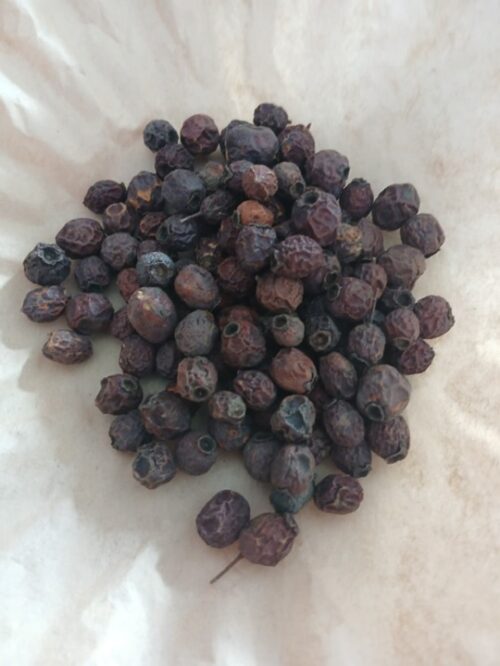 Hawthorne Berry (Crataegus)