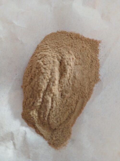 Horny Goatweed Extract Powder 10:1 (Epimedium spp.)