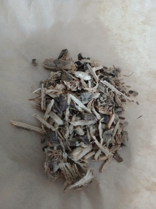 Kava Kava (Piper methysticum)