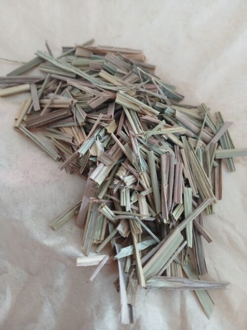 Lemongrass (Cymbopogon citratus)