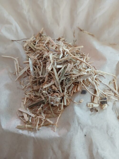 Nettle Root (Urtica dioica)