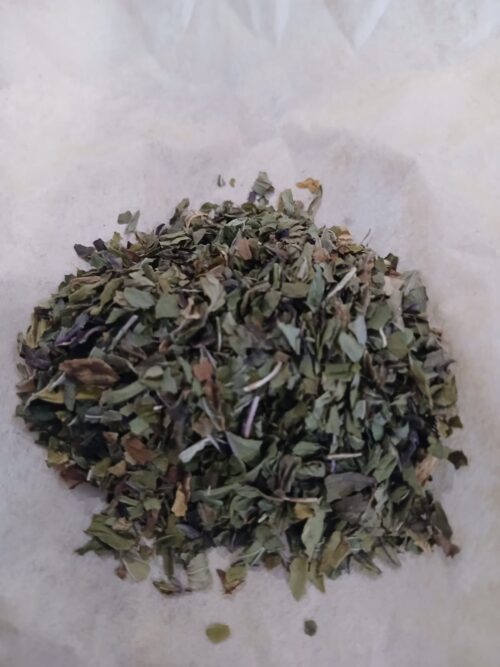 Peppermint (Mentha piperita)