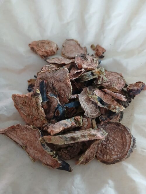 Rhodiola Root (Rhodiola Rosea Root)