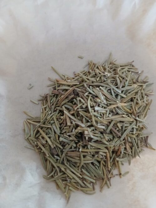 Rosemary (Salvia rosmarinus)