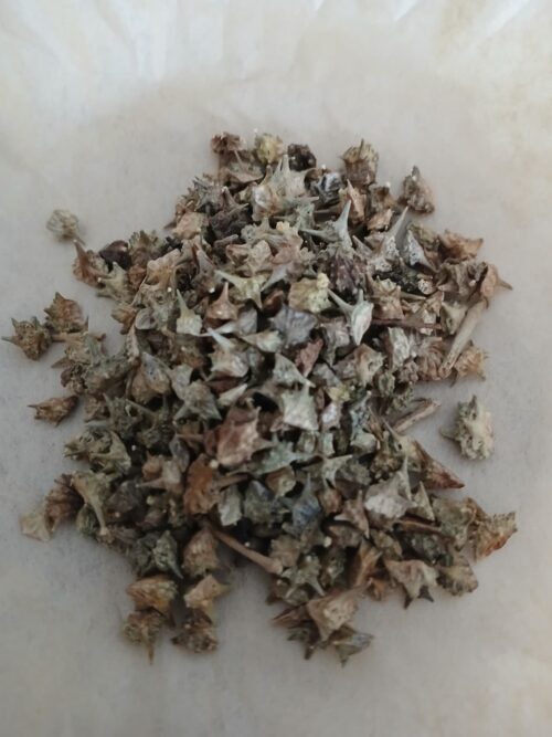 Tribulus (Tribulus terrestris)
