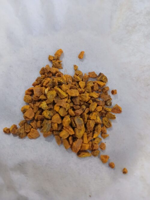 Tumeric Root (Curcuma longa)