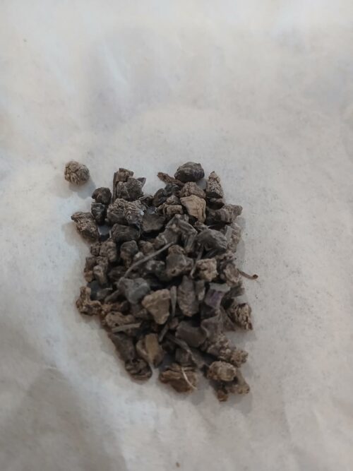 Valerian Root (Valeriana officinalis)