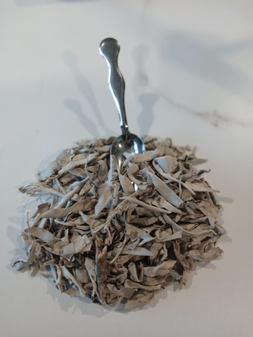 Sacred White Sage Loose Dried Leaf — 1 oz Ritual Herb for Burning, Cleansing & Protection
