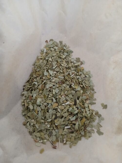 Yerba Mate (Ilex paraguariensis)